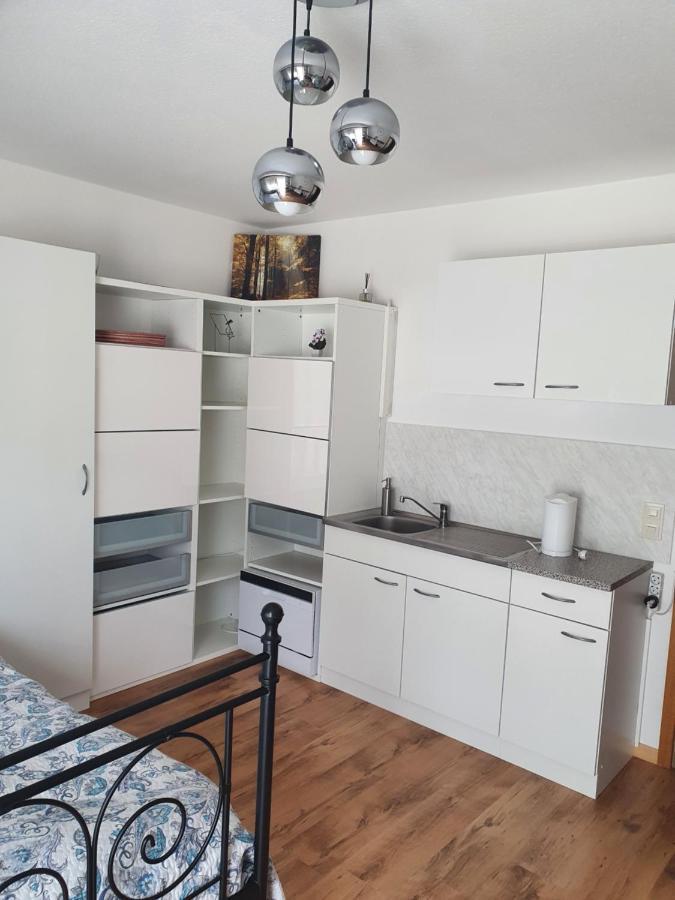 Apartamento Haus Am Scheibenfelsen St. Blasien Exterior foto