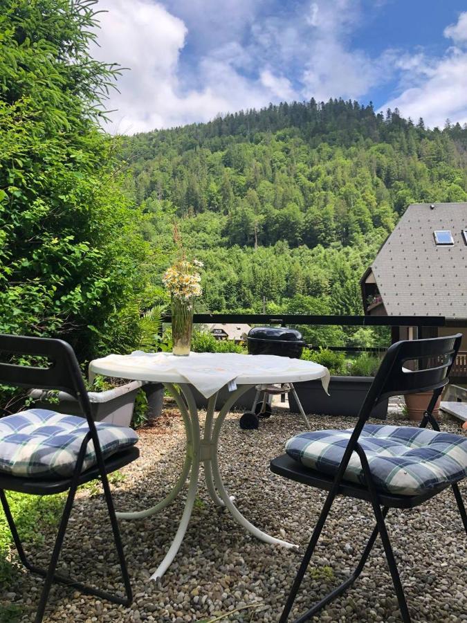 Apartamento Haus Am Scheibenfelsen St. Blasien Exterior foto