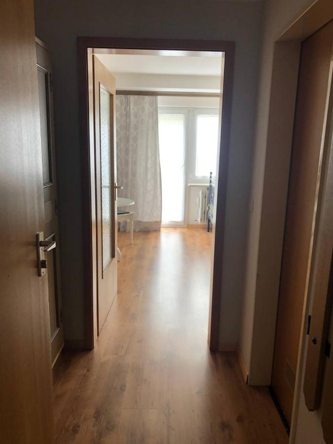 Apartamento Haus Am Scheibenfelsen St. Blasien Exterior foto